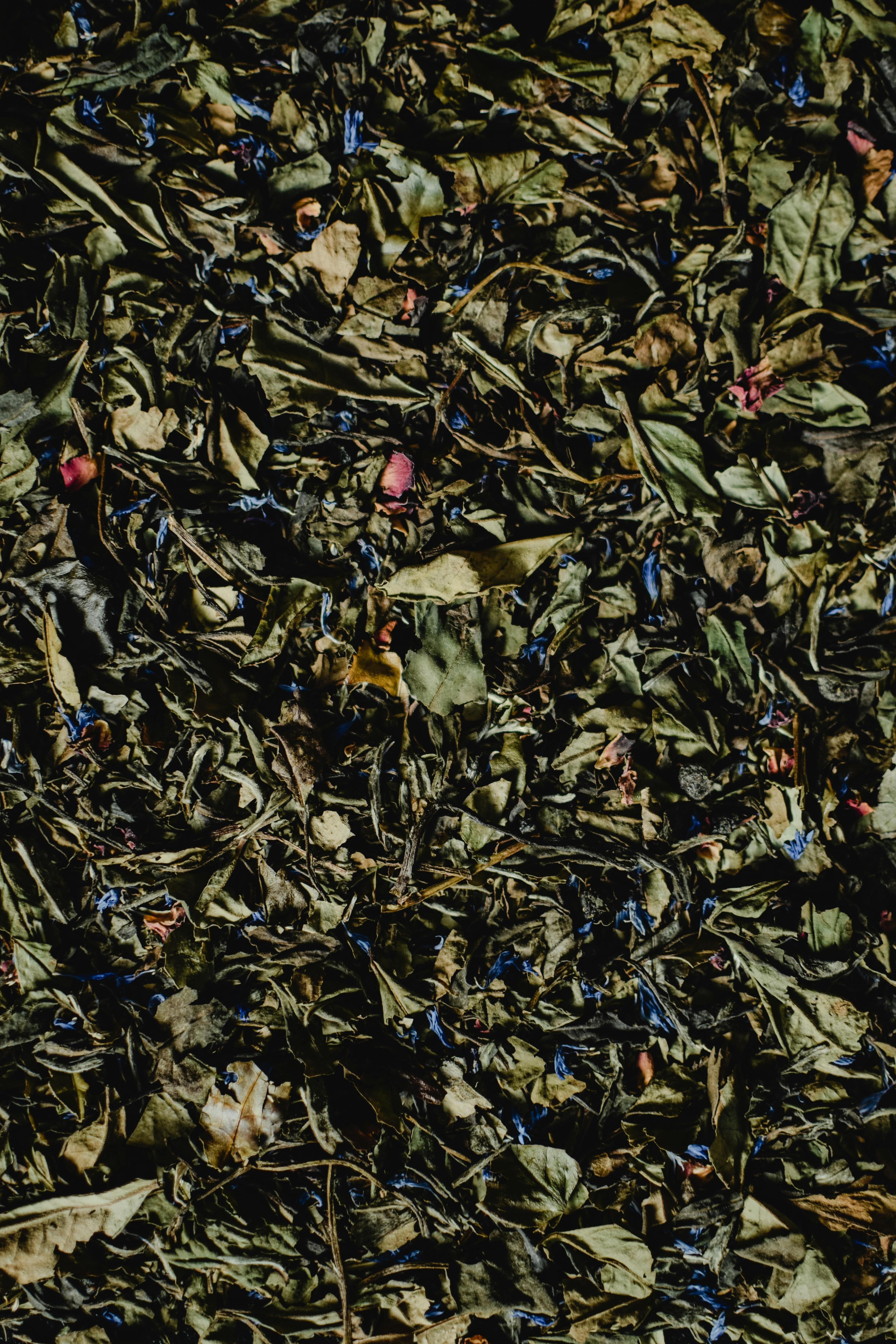 Dragon Well (Longjing)